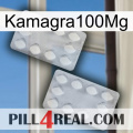 Kamagra100Mg 17